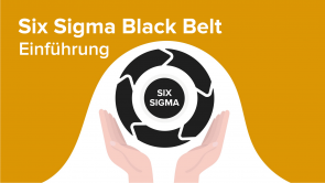 Six Sigma Black Belt – Einführung