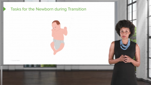 Newborn Assessment (Nursing)