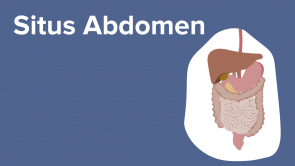 Situs Abdomen 