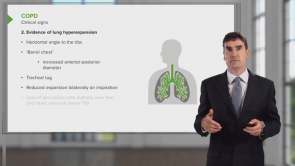 Introduction to the Respiratory System