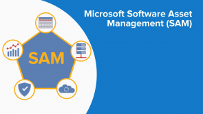 Microsoft Software Asset Management (SAM)