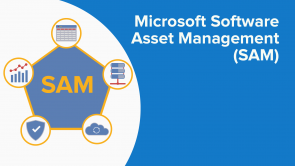Microsoft Software Asset Management (SAM)