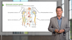 Structure and Functions of the Nervous and Endocrine Systems