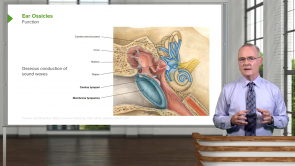 Anatomy and Physiology of Ear, Nose, Throat, Head and Neck (MBBS India)