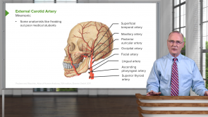Head and Neck Anatomy with Dr. Canby