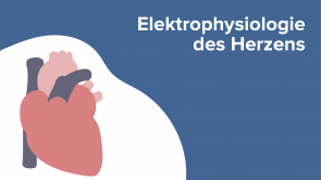 Elektrophysiologie des Herzens
