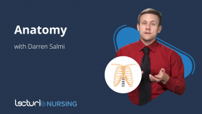 Anatomy (Nursing)