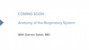 Anatomy of the Respiratory System (Nursing) (coming soon)