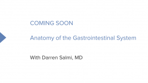 Anatomy of the Gastrointestinal System (Nursing) (coming soon)