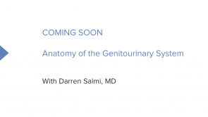 Anatomy of the Urogenital System (Nursing) (coming soon)