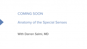 Anatomy of the Special Senses (Nursing) (coming soon)
