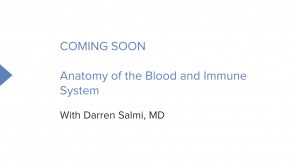 Anatomy of the Blood and Immune System (Nursing) (coming soon)