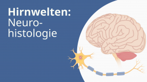Hirnwelten: Neurohistologie