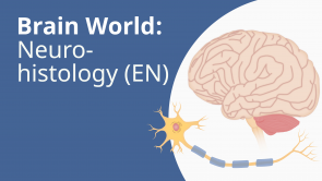 Brain World: Neurohistology (EN)