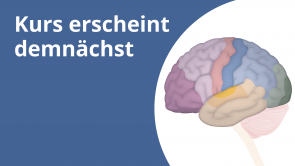 Neurobiologie der Persönlichkeit (Kurs erscheint demnächst)