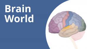 Dr. Dr. Damir del Monte – Brain World (EN)