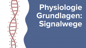 Physiologie Grundlagen: Signalwege