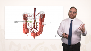 Anatomy of the Large Intestine