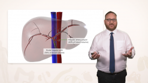 Anatomy of the Liver and Gallbladder
