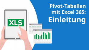 Pivot-Tabellen mit Excel 365: Einleitung