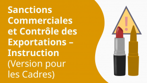 Sanctions Commerciales et Contrôle des Exportations – Instruction (Version pour les Cadres) (FR)