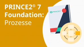 PRINCE2® 7 Foundation: Prozesse