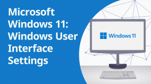 Microsoft Windows 11: Windows User Interface Settings (EN)