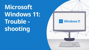 Microsoft Windows 11: Troubleshooting (EN)