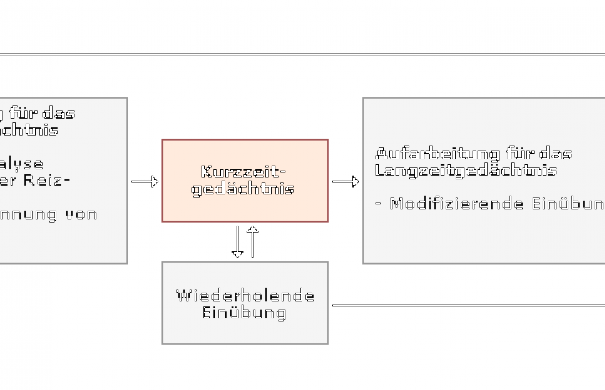 Gedächtnis_modell.png